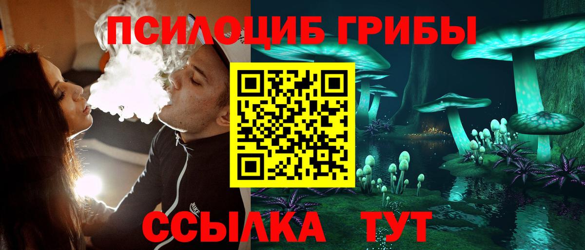 Псилоцибиновые грибы мухоморы Фрязино