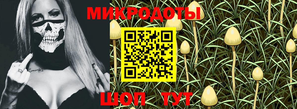 Фрязино  Псилоцибиновые грибы Psilocybine cubensis  Вход с VPN 